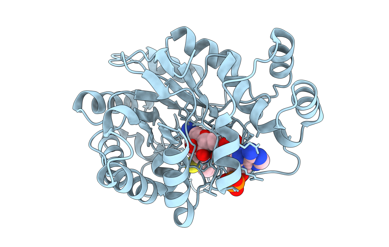 2PDL image