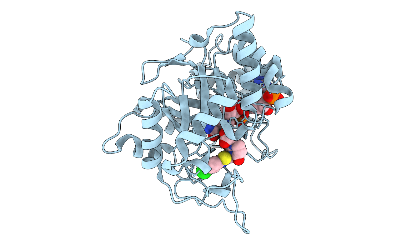 2PDN image