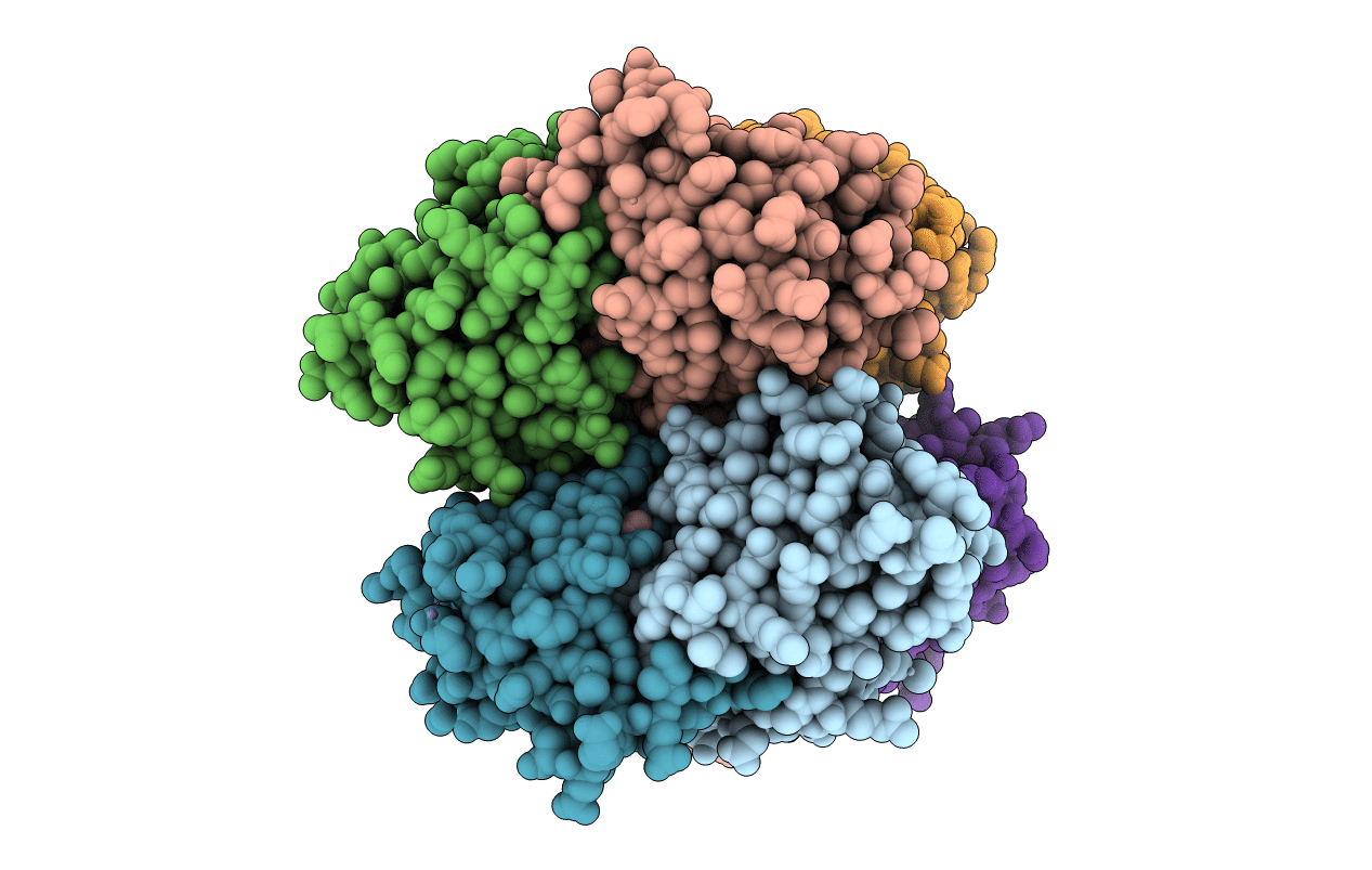2PDO image