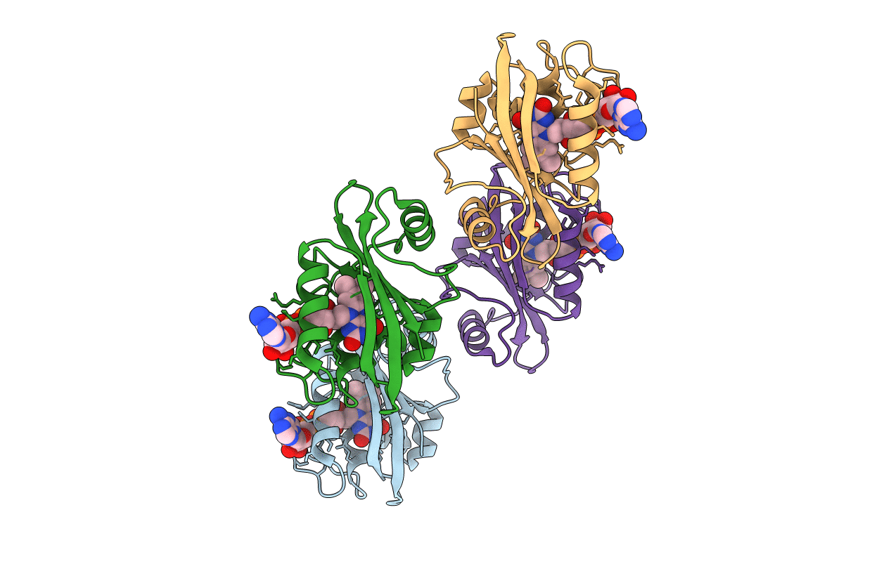 2PDR image
