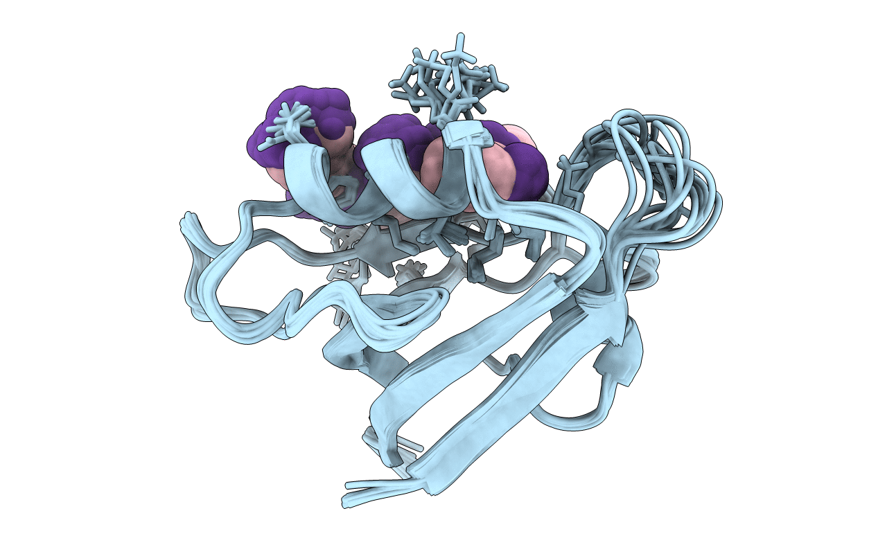 2PDZ image