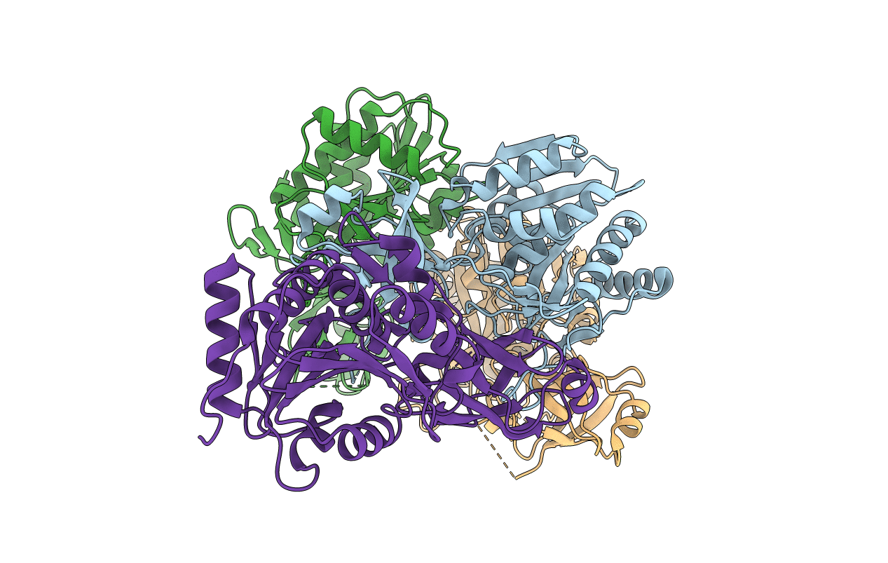 2PE3 image