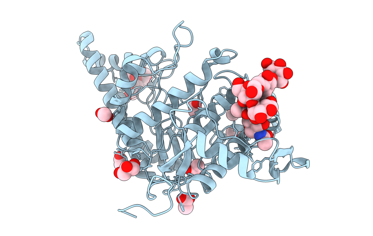 2PE4 image
