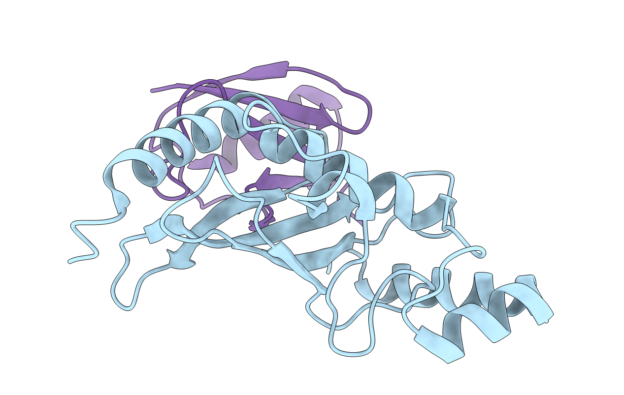 2PE6 image