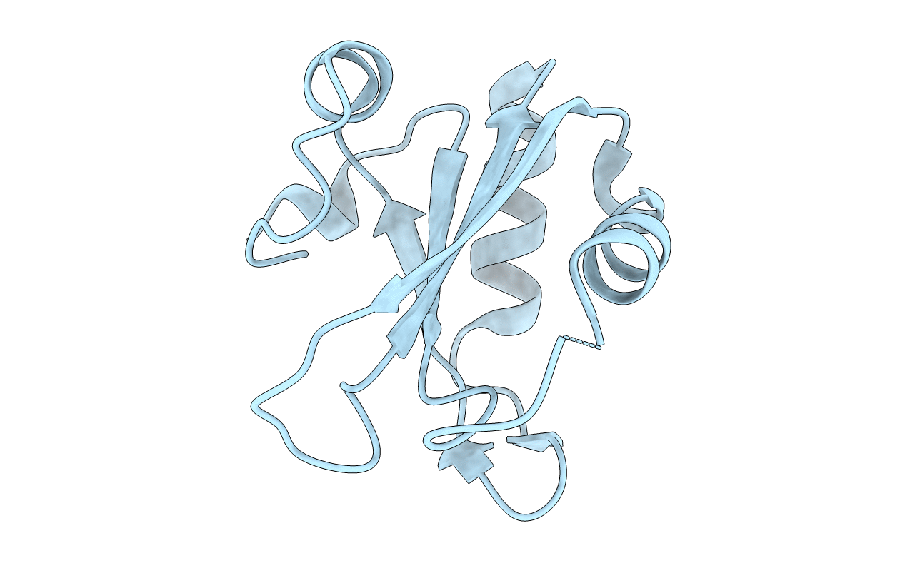 2PE8 image
