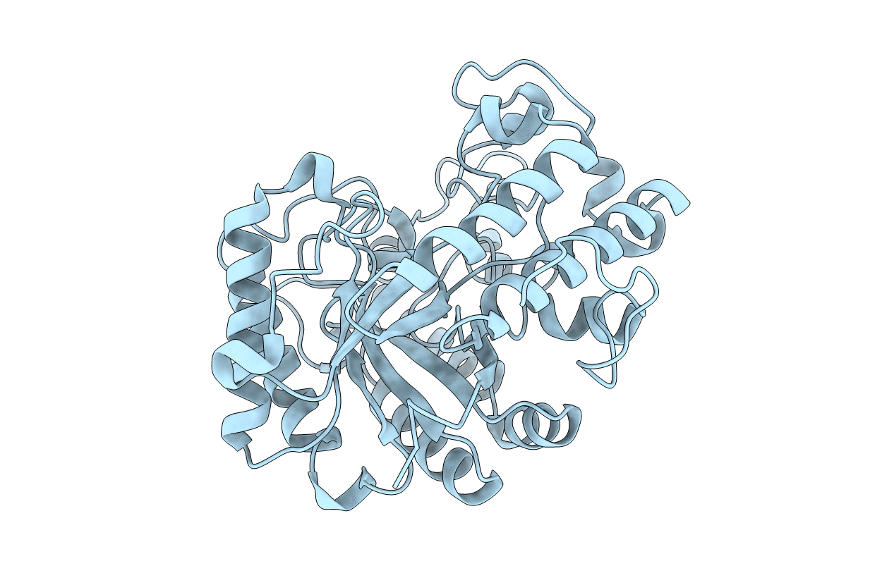 2PF0 image