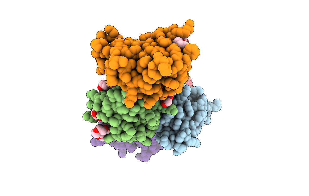 2PF5 image