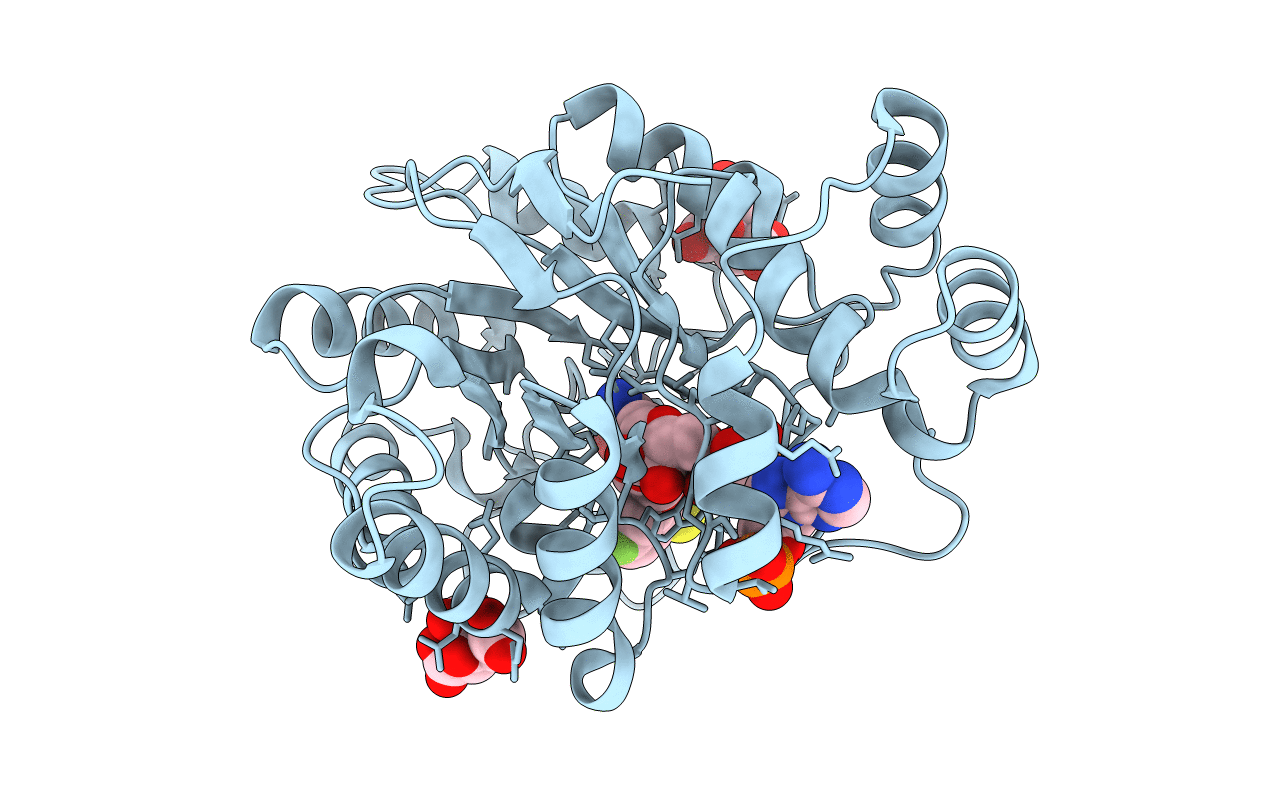 2pf8 image