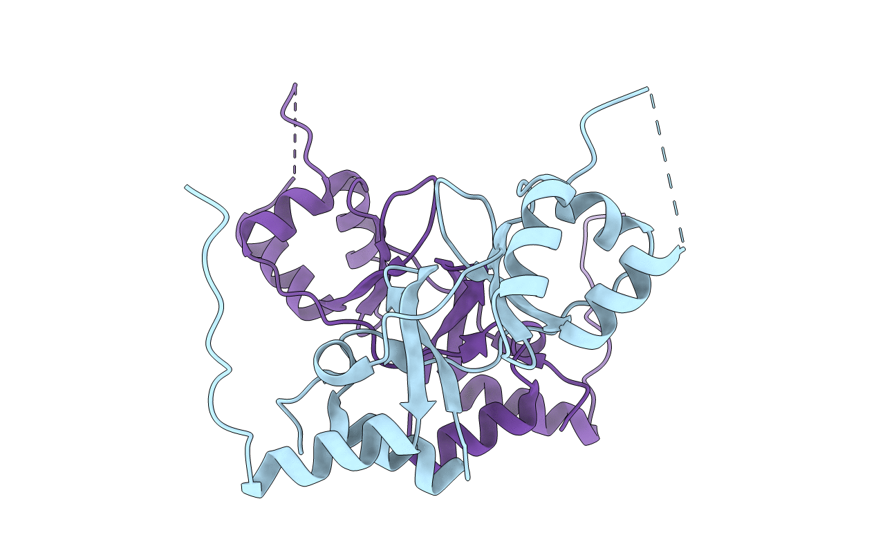 2PFI image