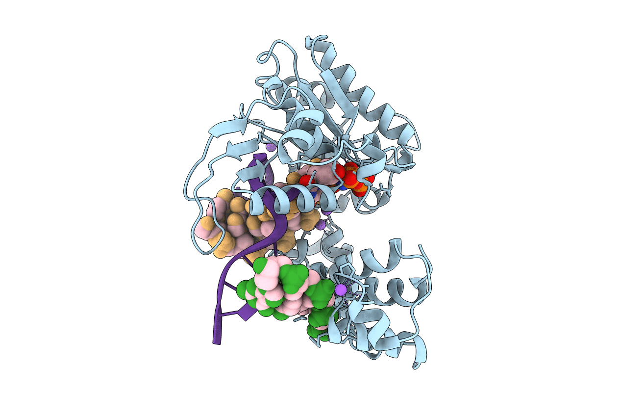 2PFN image