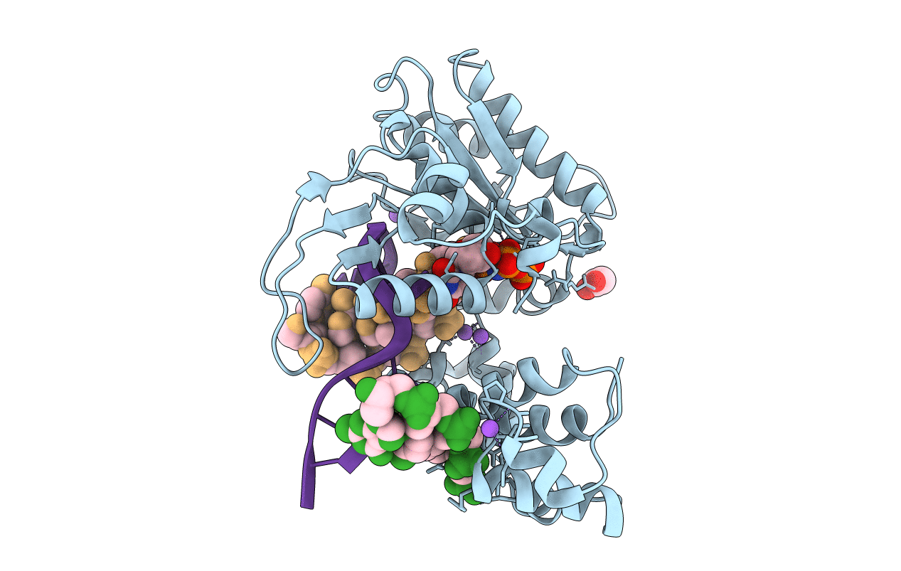 2PFO image