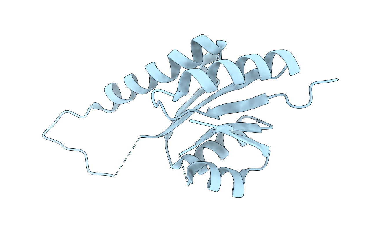 2PFS image
