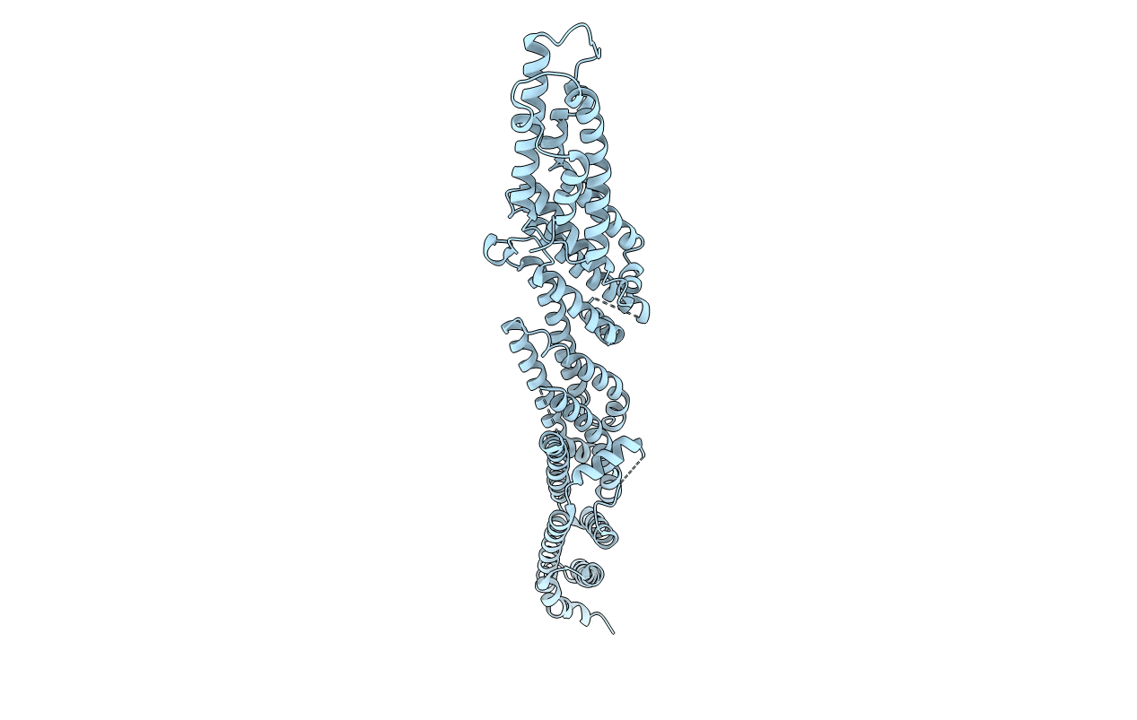 2PFT image