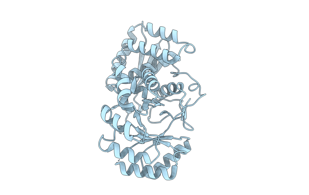 2PGE image