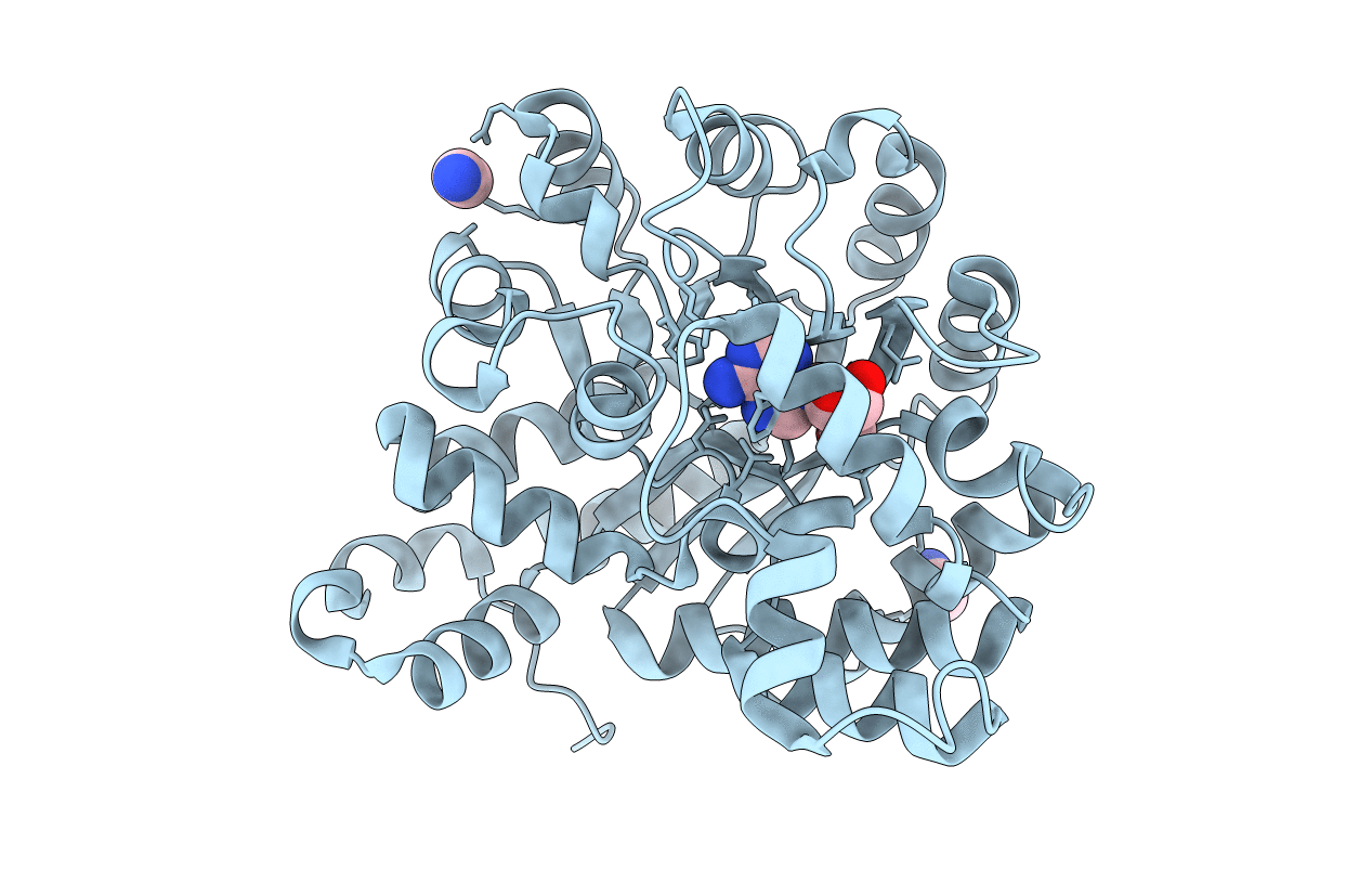 2PGF image