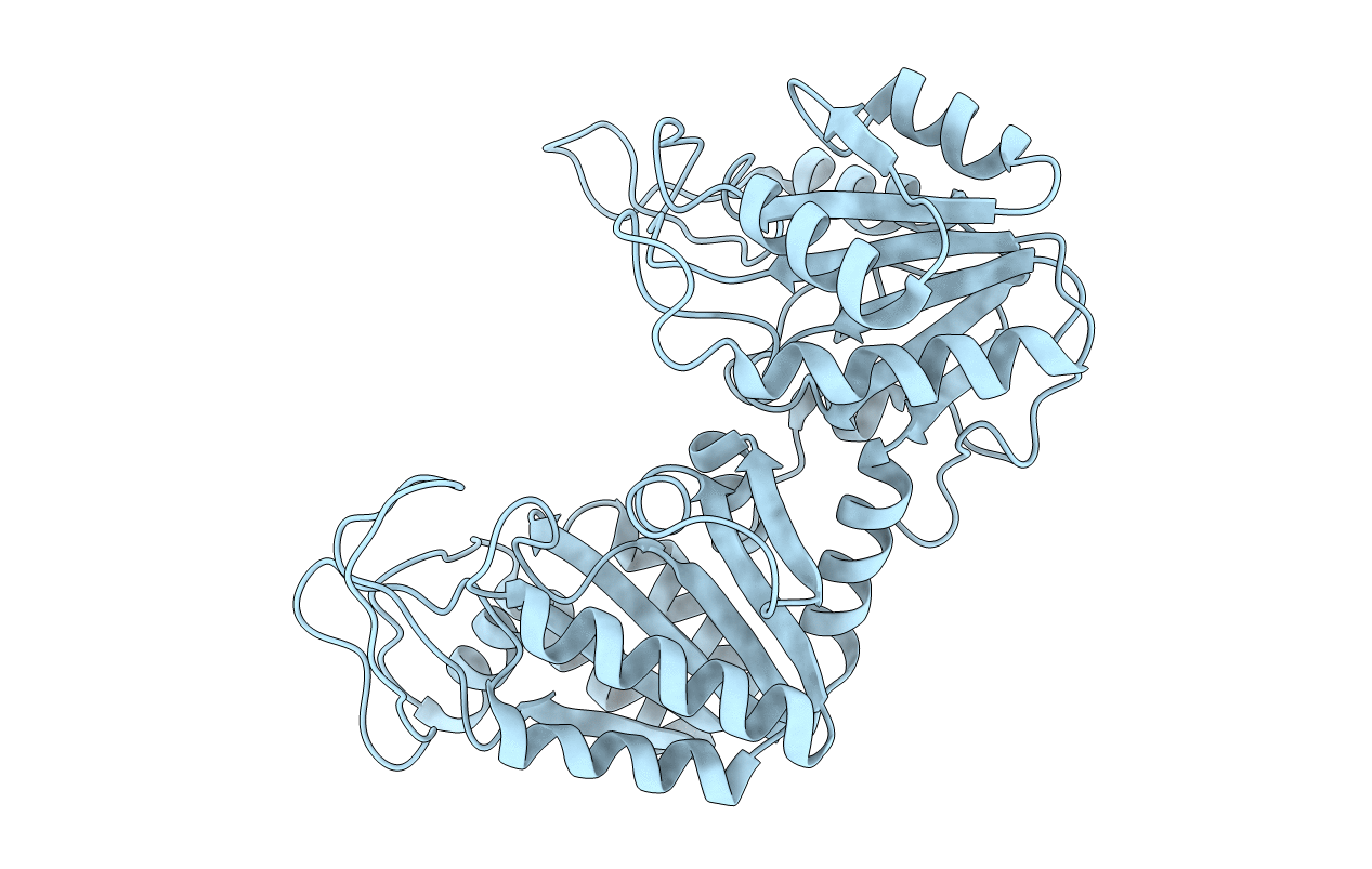 2PGK image