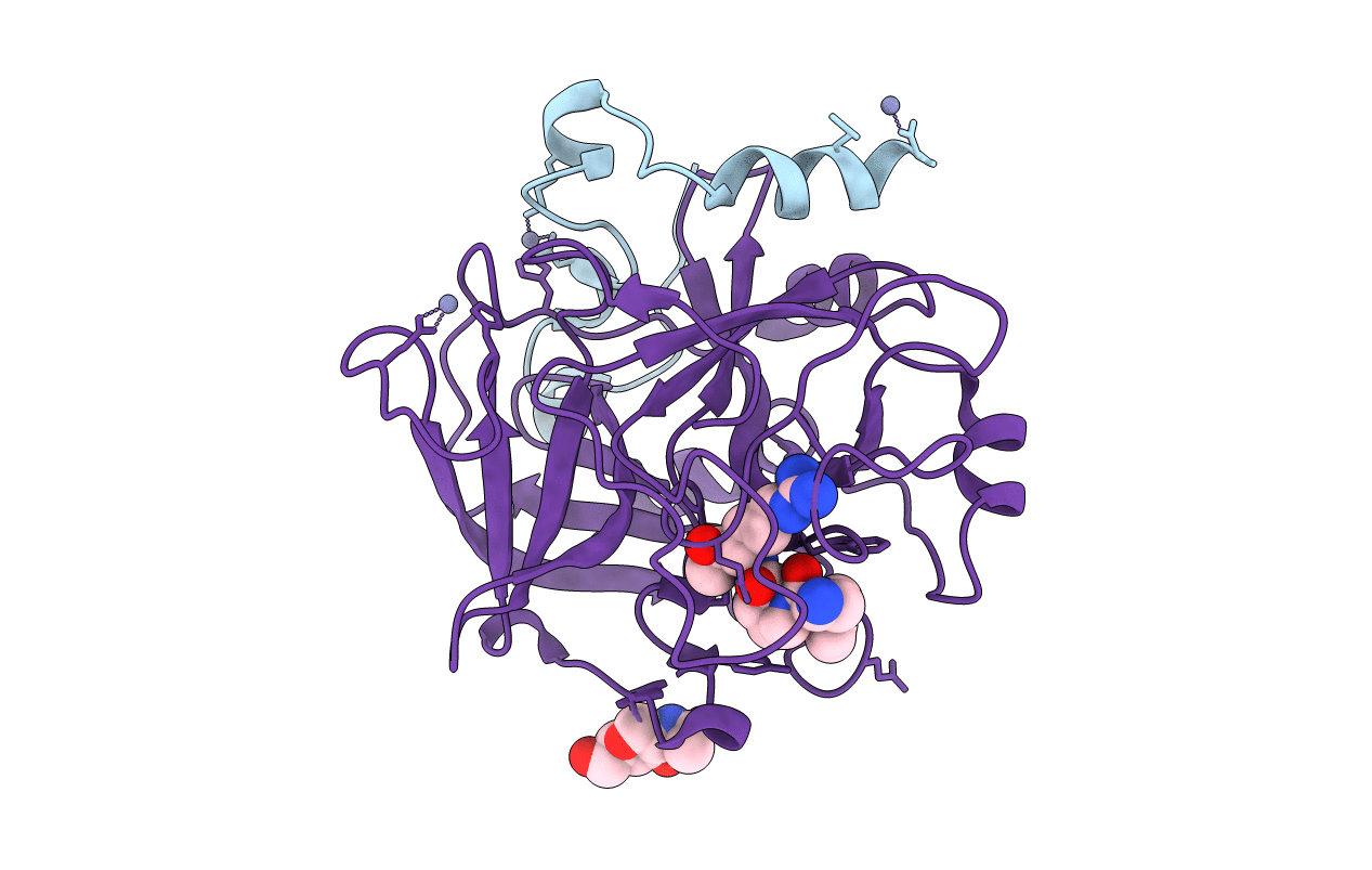 2PGQ image