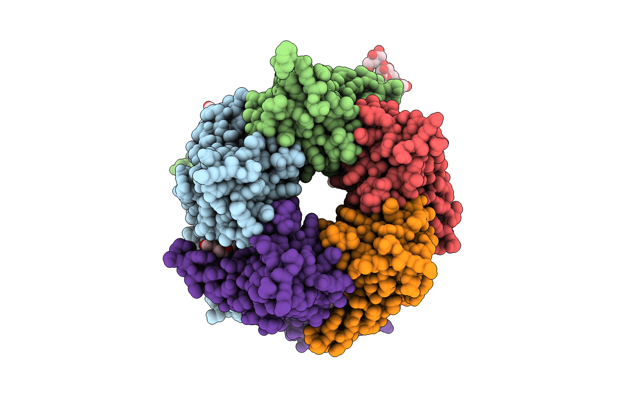 2PGZ image