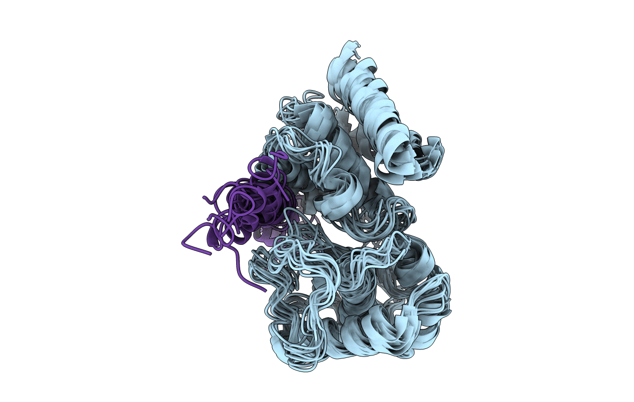 2PHG image