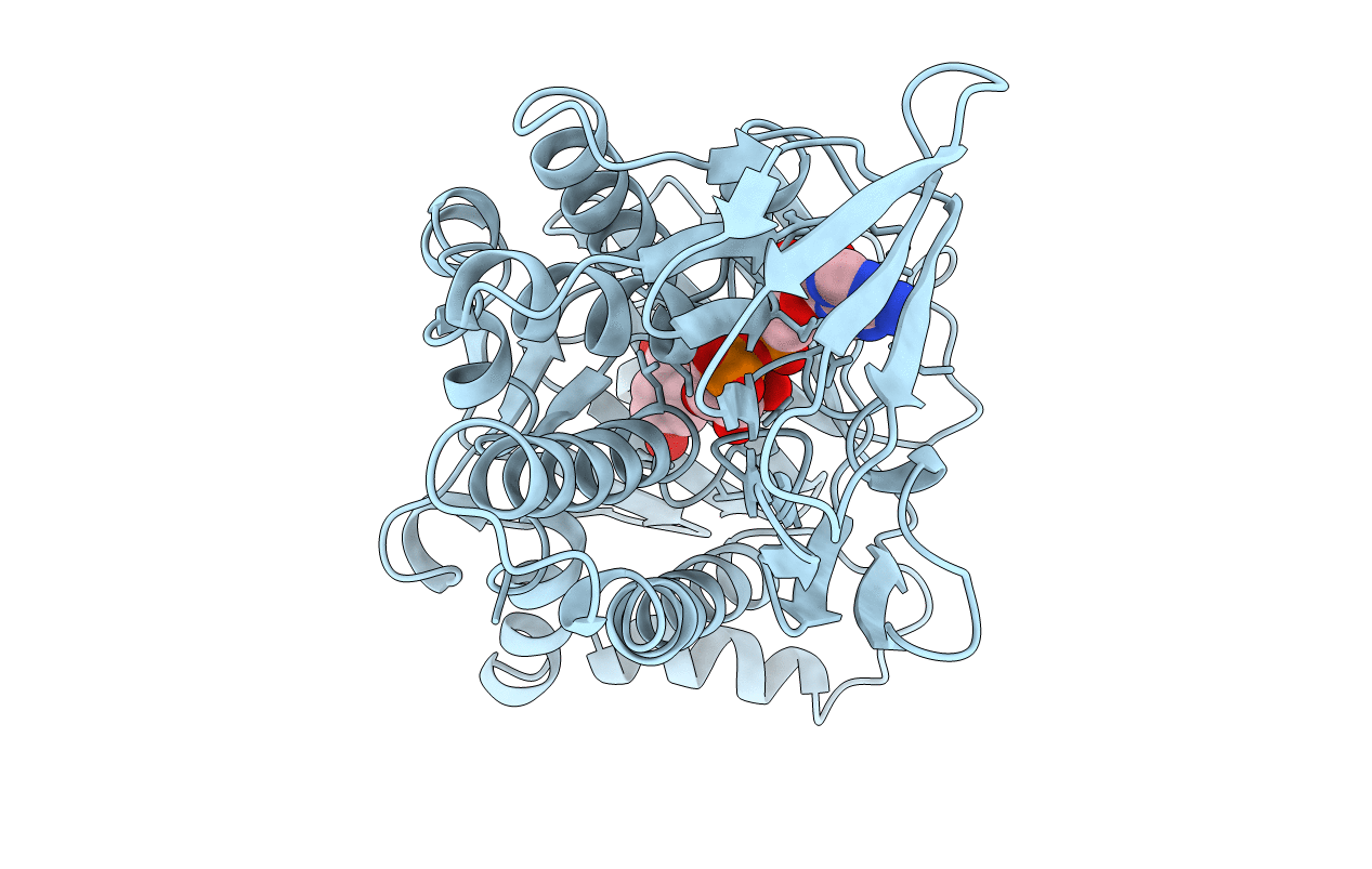 2PHH image