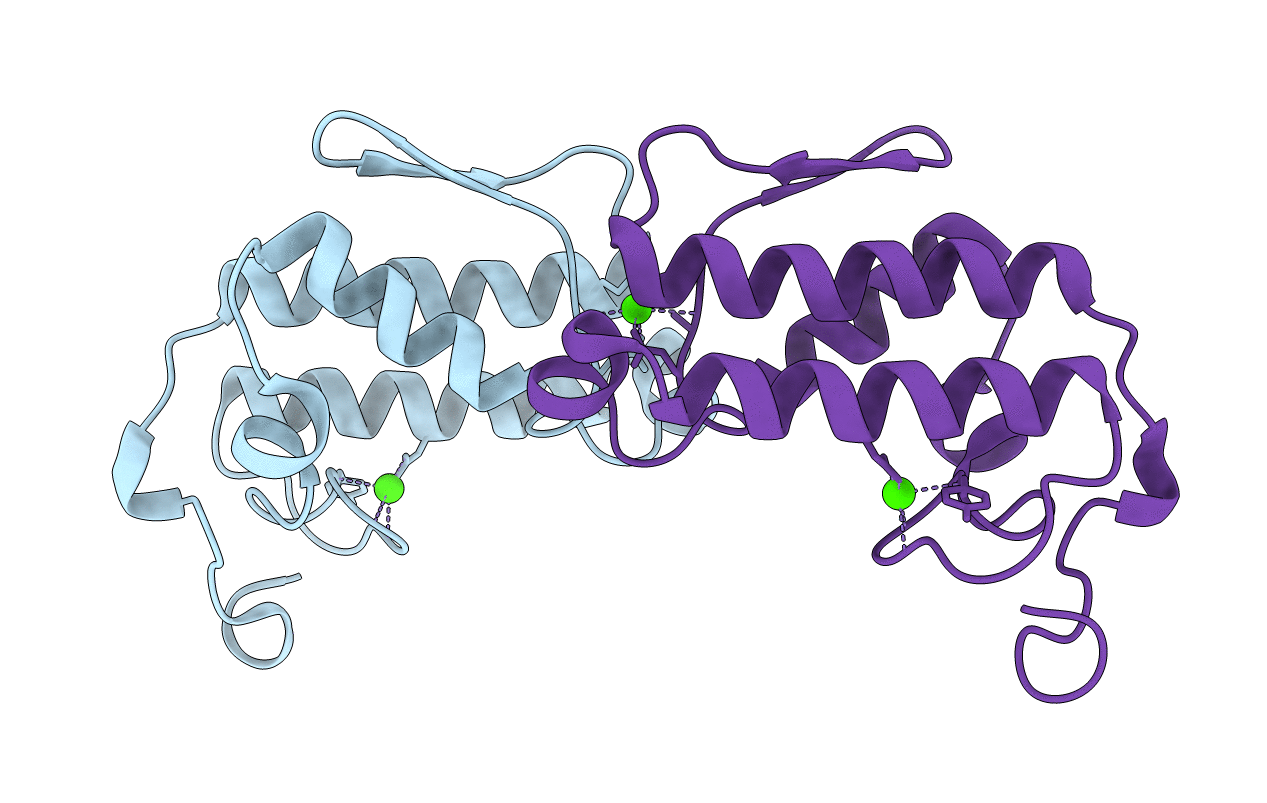 2PHI image