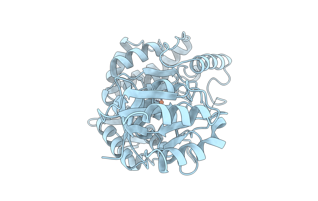 2PHM image