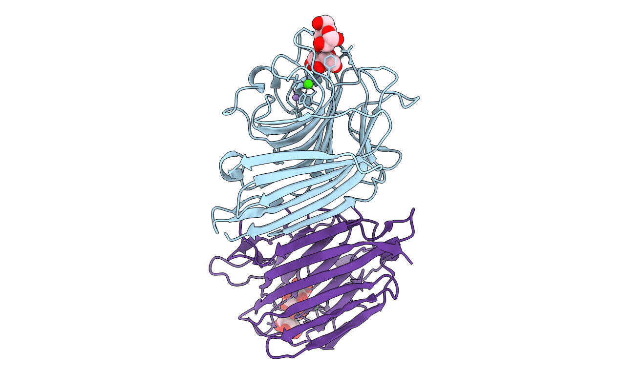 2PHR image