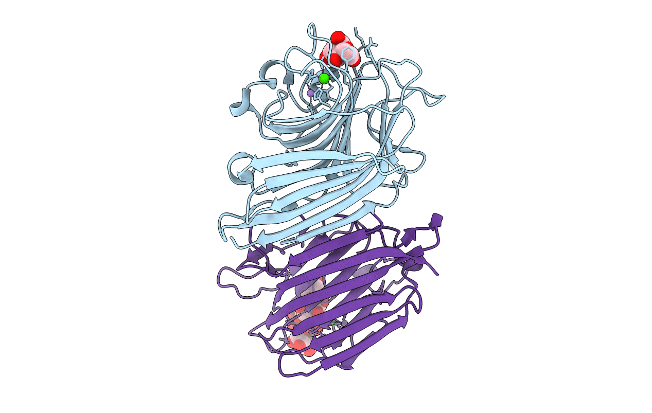 2PHU image