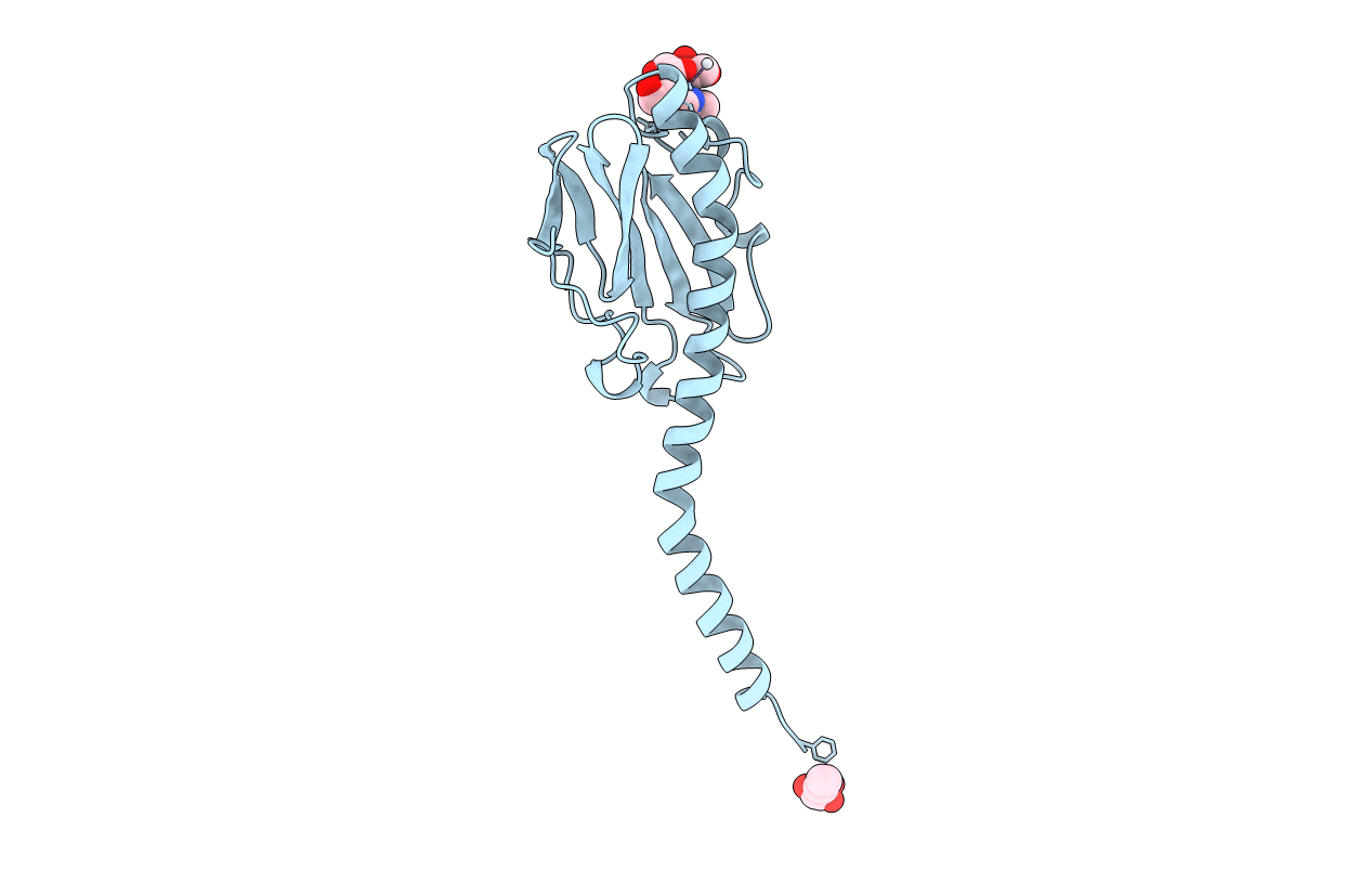 2PIL image