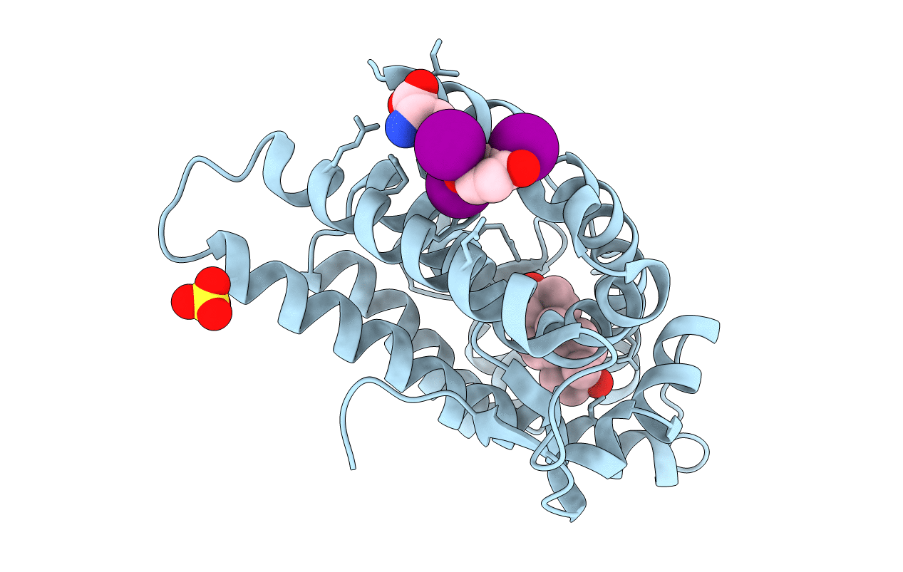 2PIV image