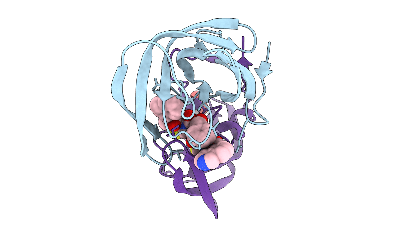 2PK6 image