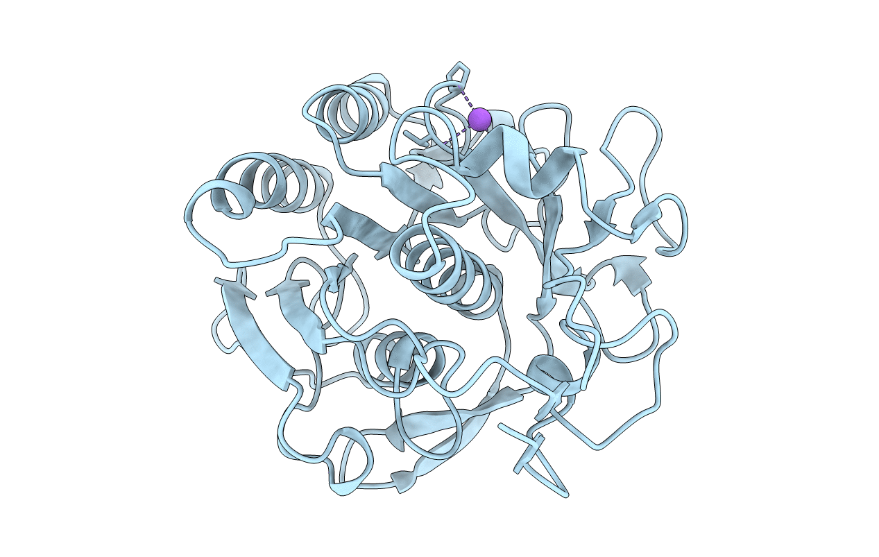 2PKC image