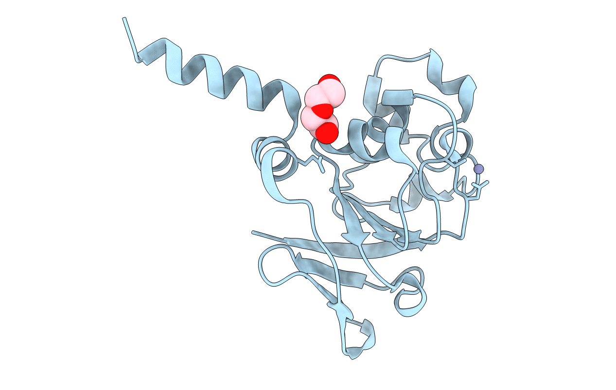 2PKP image