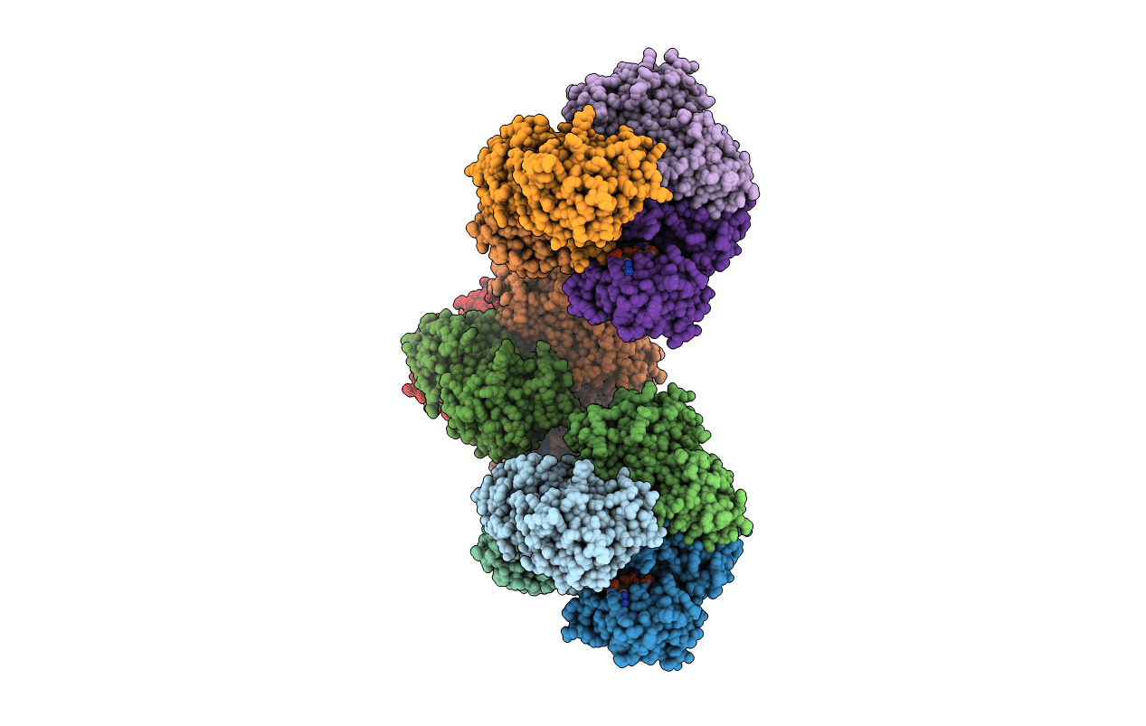 2PKR image