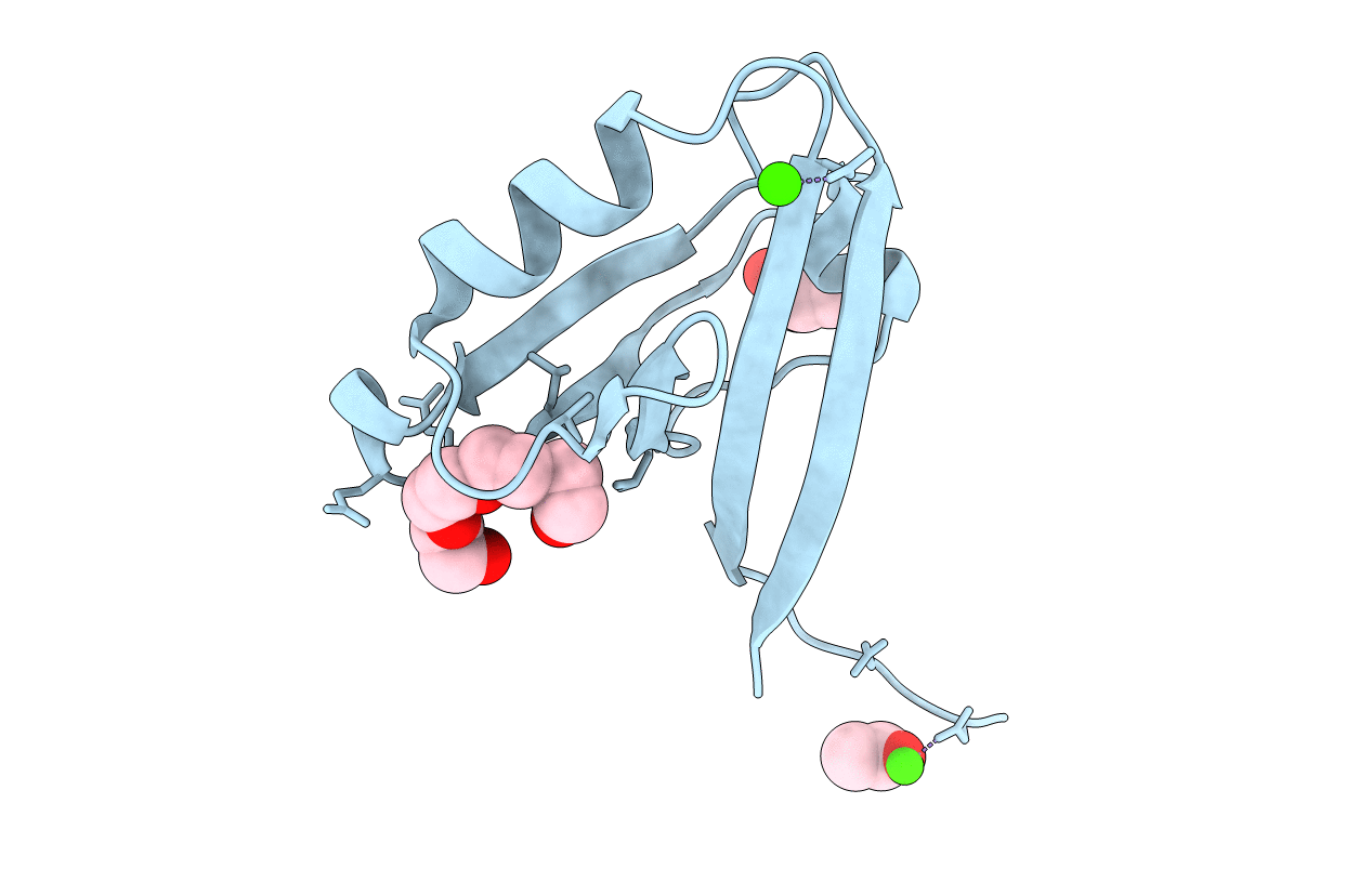 2PKT image
