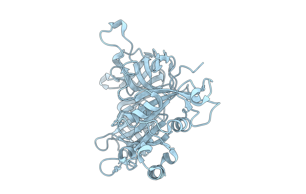 2PLF image