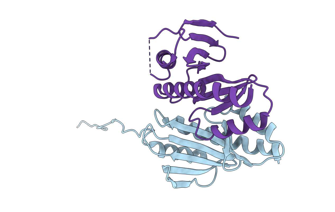 2PLG image