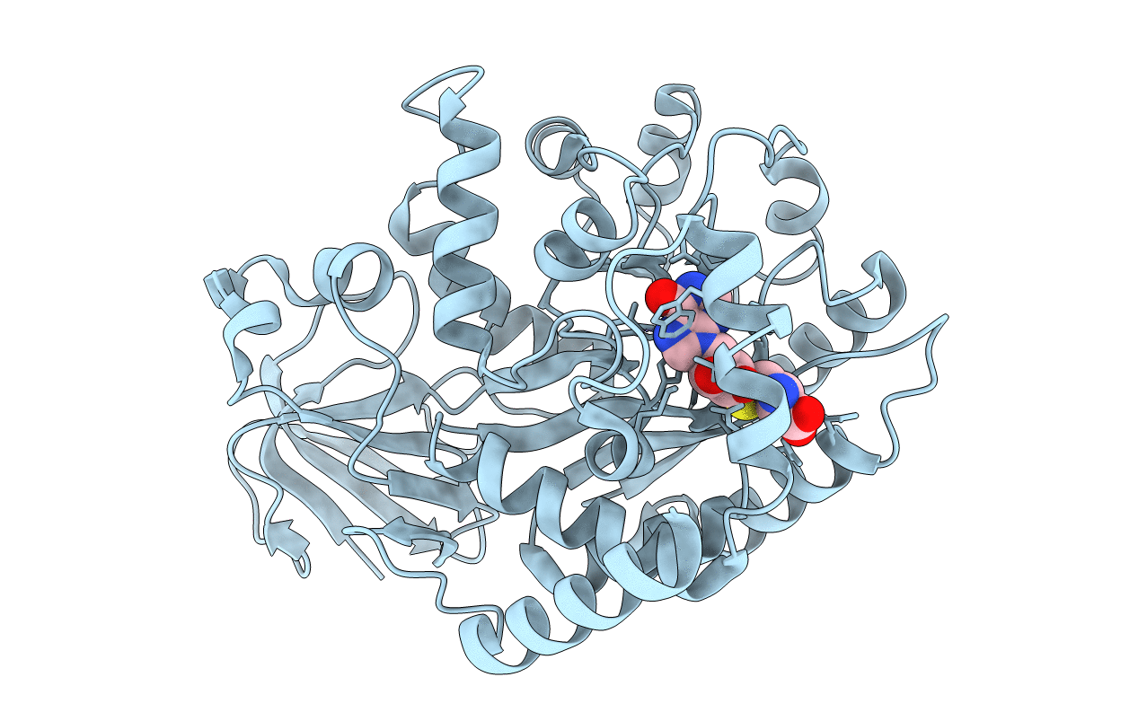 2PLM image