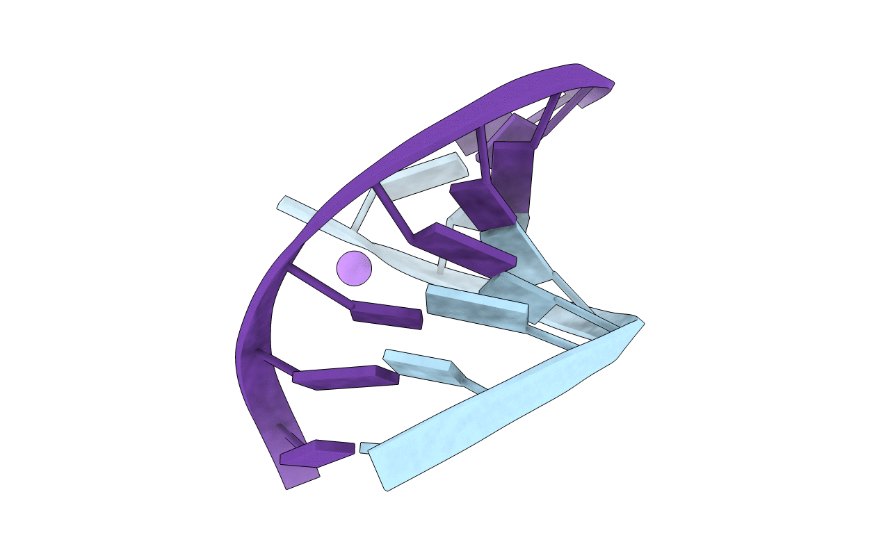 2PLO image