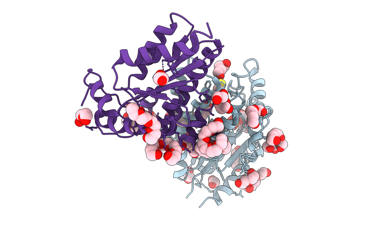 2PLR image