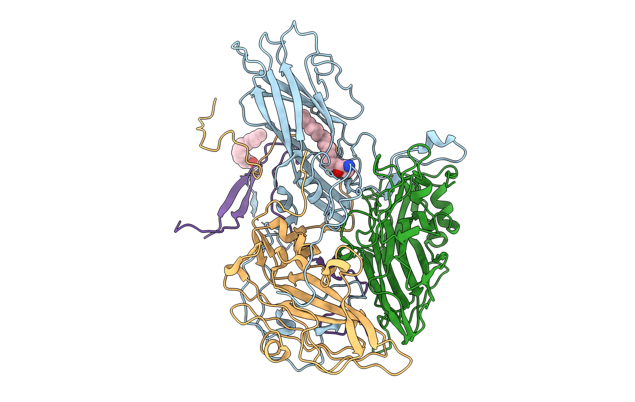 2PLV image