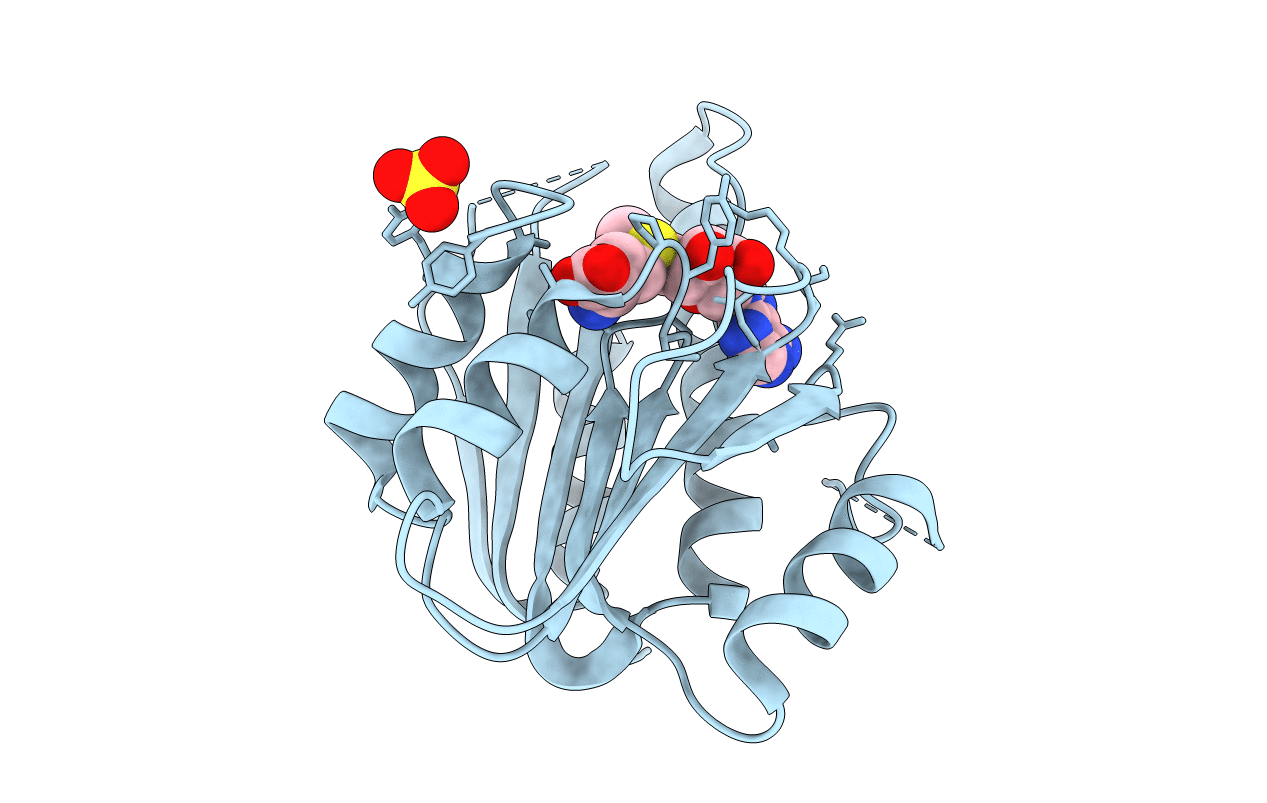 2PLW image