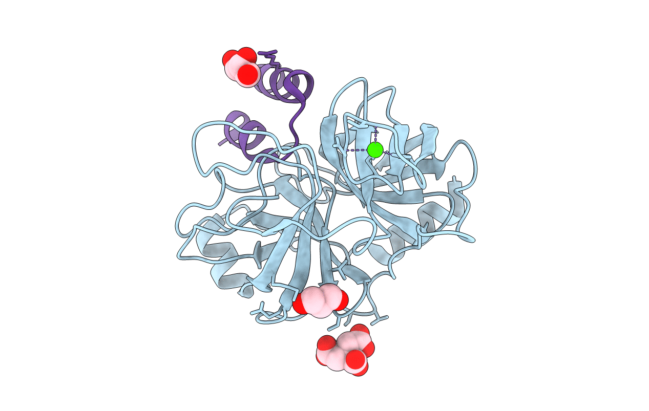 2PLX image