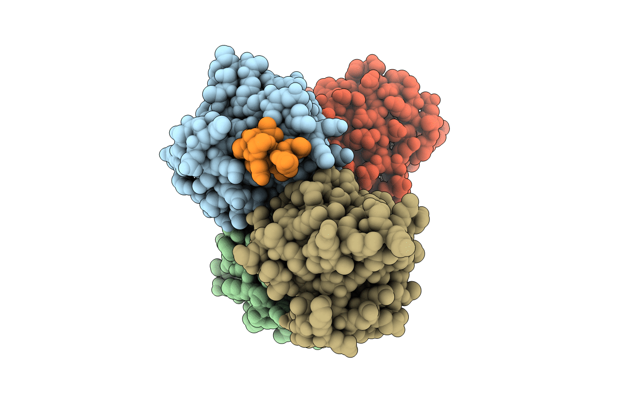 2PMC image