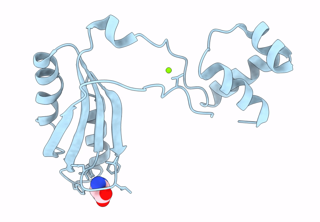 2PN6 image