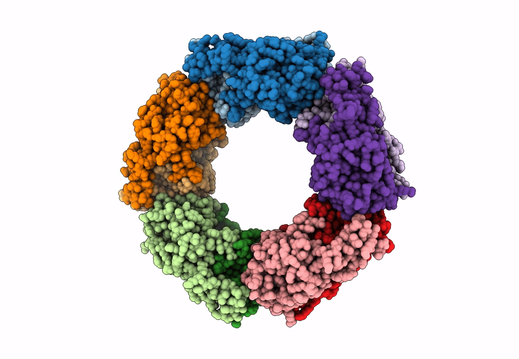 2PN8 image
