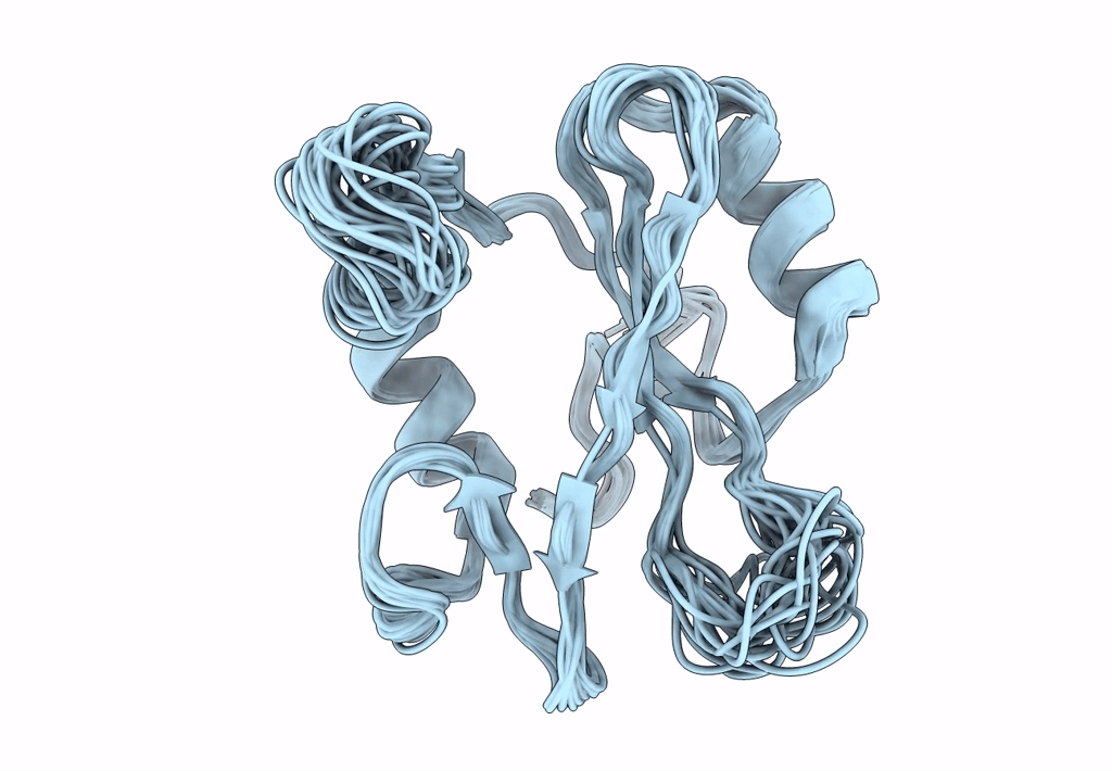 2PNA image