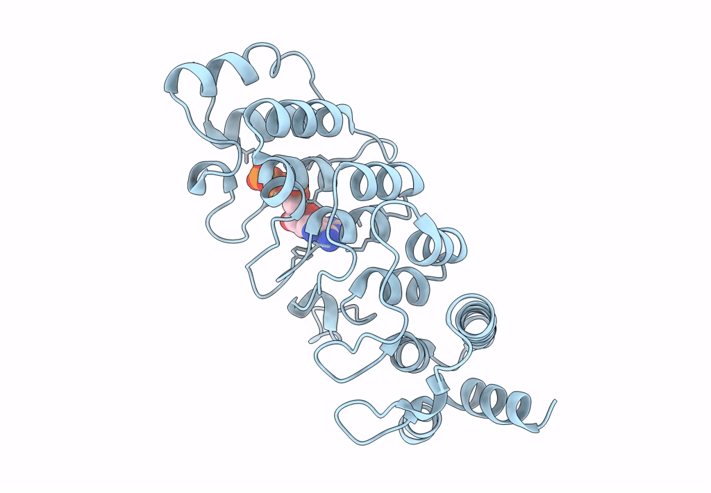 2PNN image