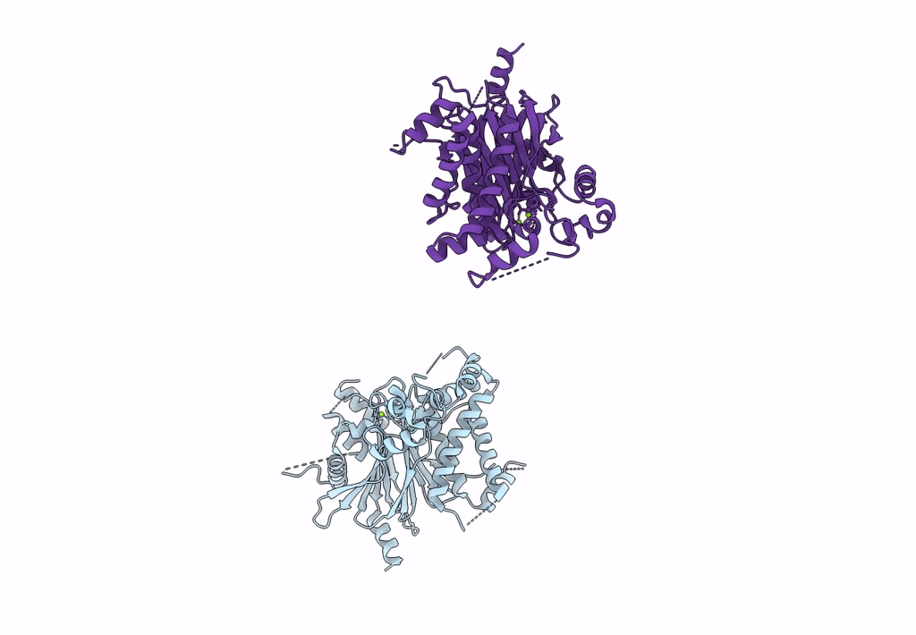 2PNQ image