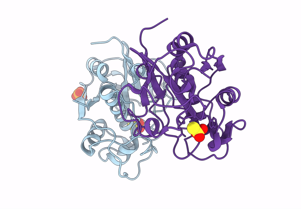 2PNS image